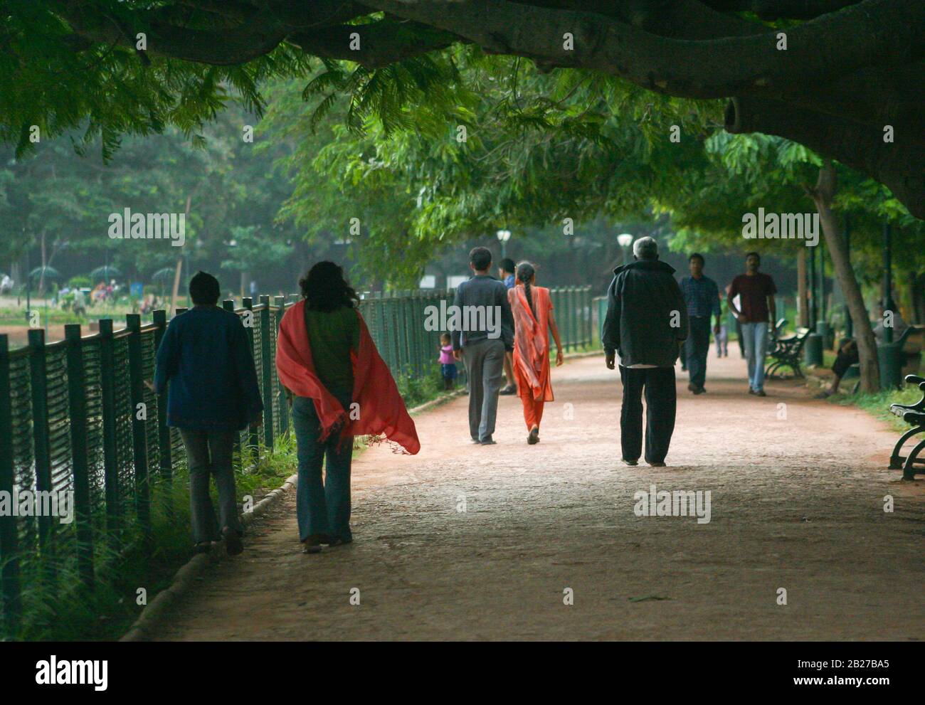 Les gens marchant tranquillement le long d'une allée ombragée avec de grands arbres (photo prise dans le jardin botanique de Lalbagh, Bangalore, Inde) Banque D'Images