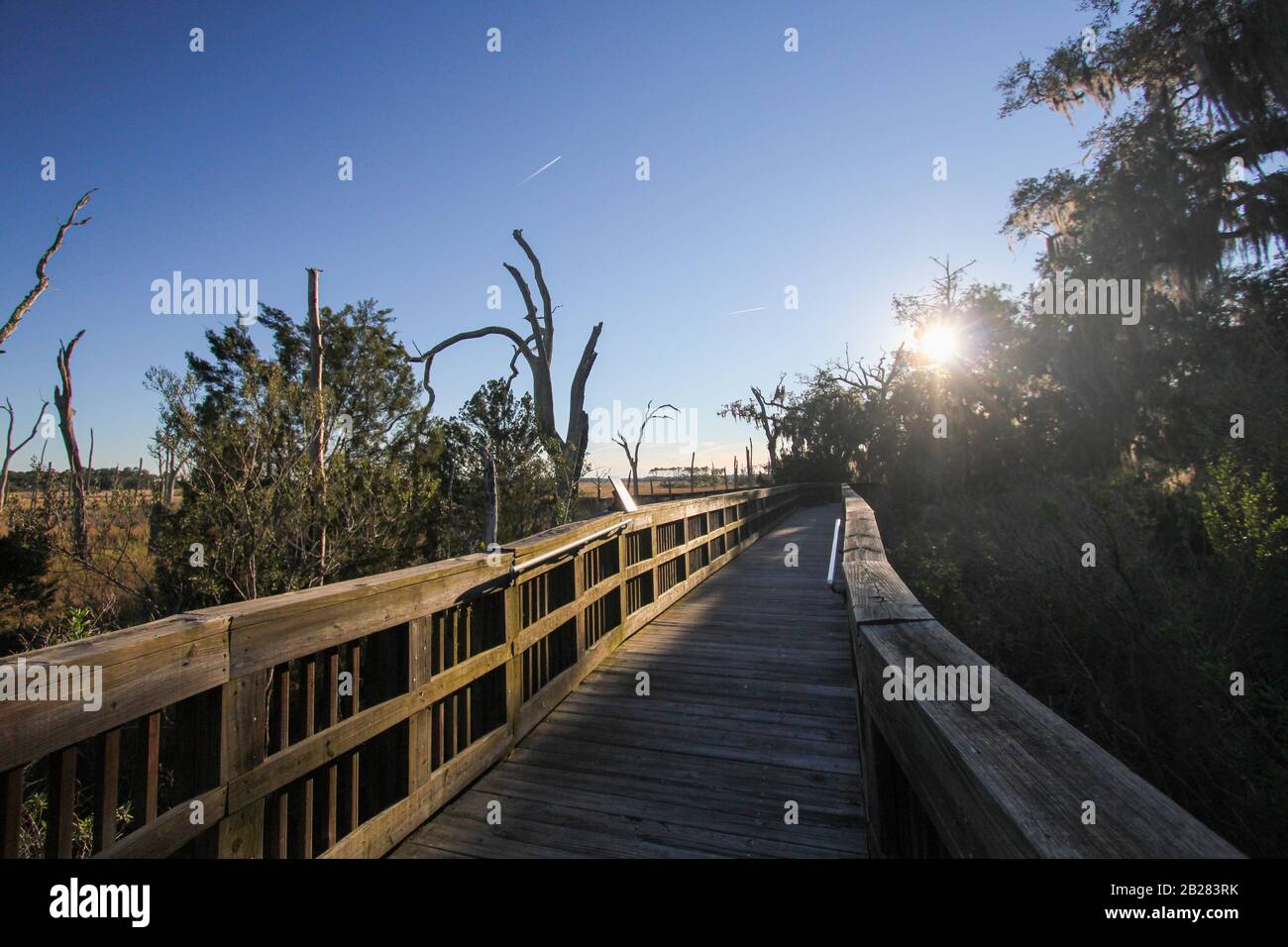 Le sentier nature de la Réserve de Cradle Creek mène au coucher du soleil Banque D'Images