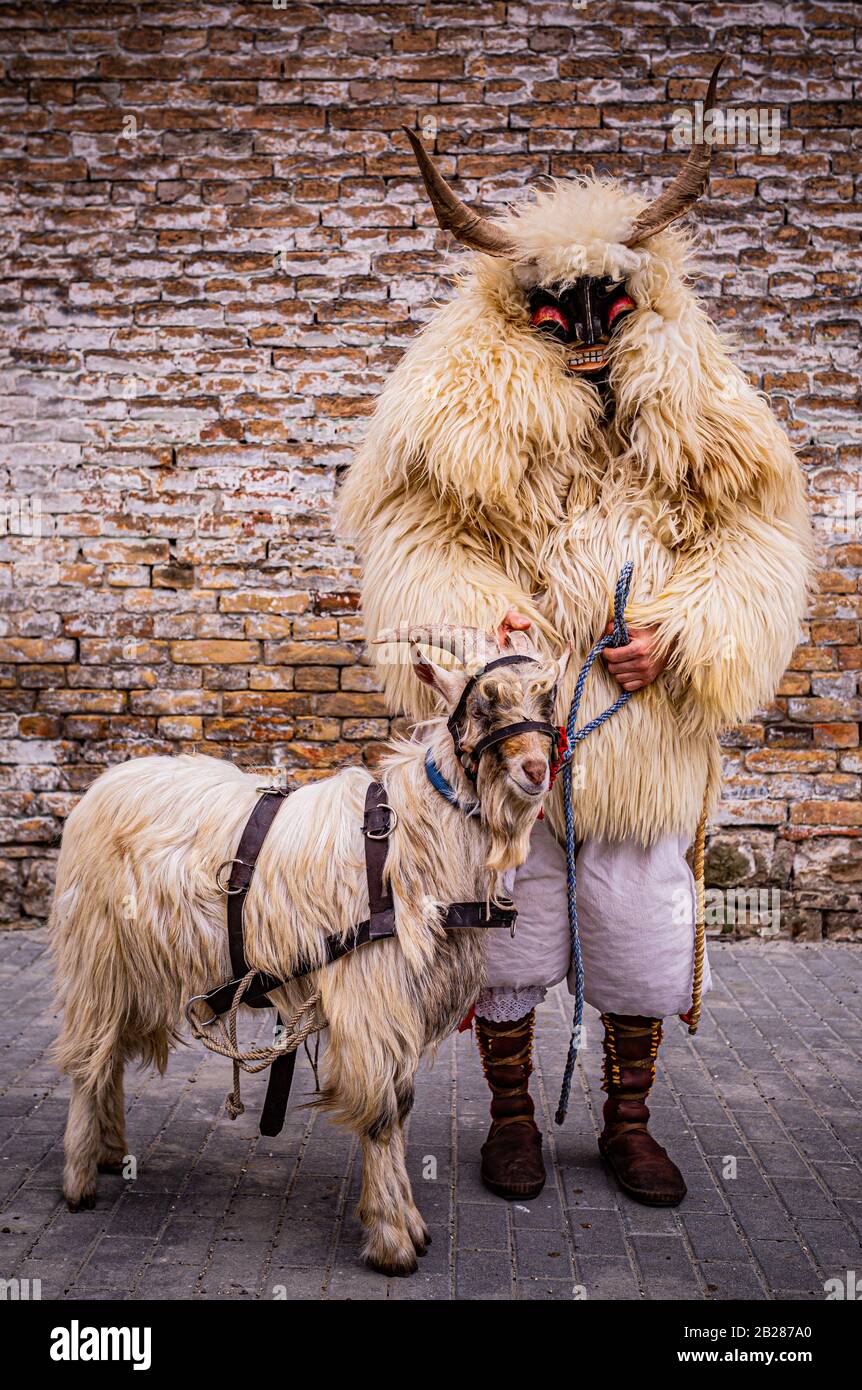Un homme vêtu d'un costume de « buso » avec une chèvre pendant les festivités annuelles du buso à Mohacs, dans le sud de la Hongrie Banque D'Images