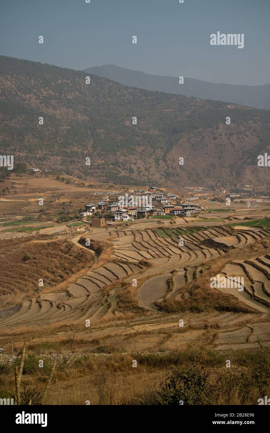 Village bhoutanais avec monastère de Chimi Lhakhang (monastère de fertilité) en arrière-plan Banque D'Images