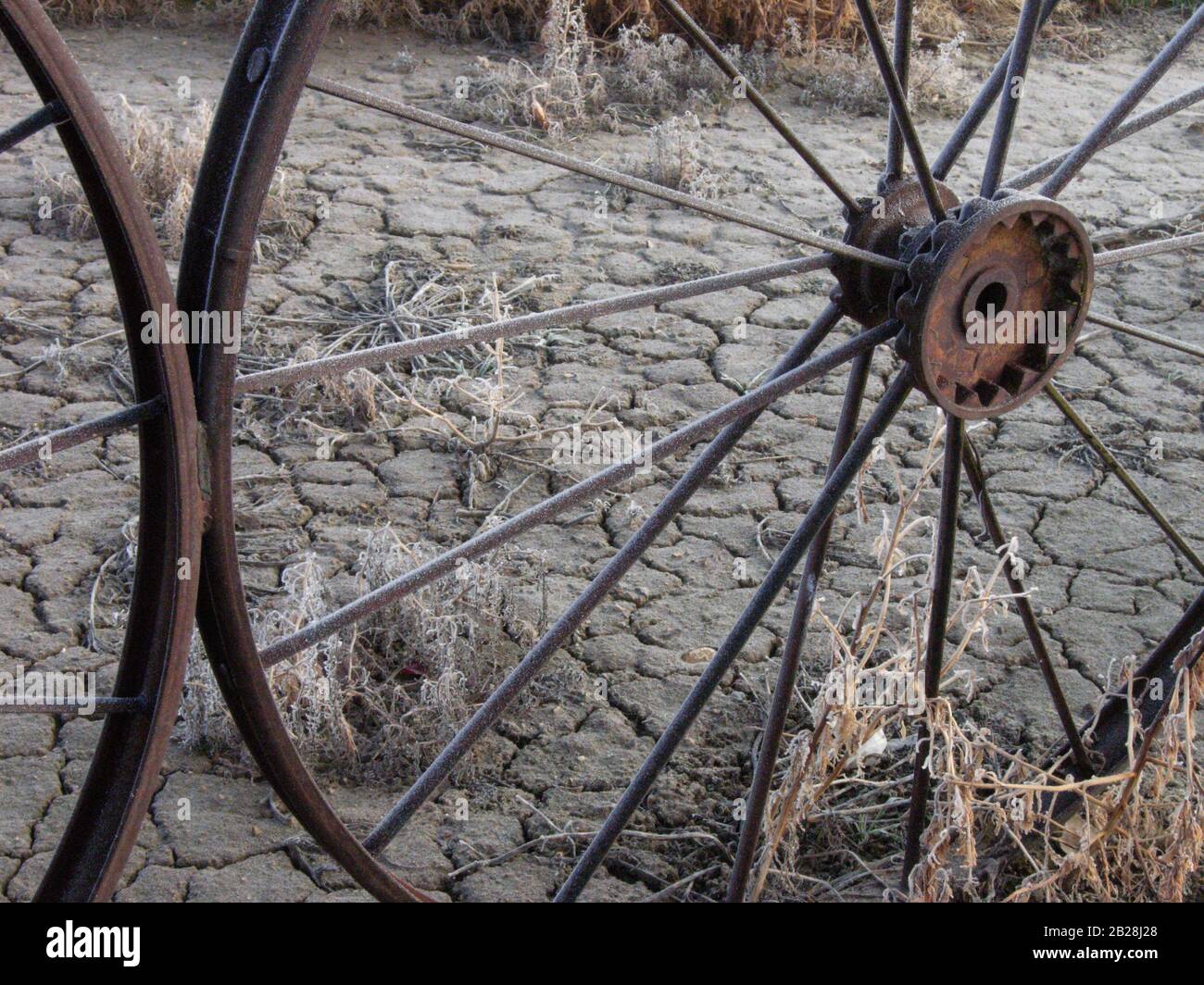 Métal givré et rayons rouillés d'une grande roue de chariot métallique posée sur le sol humide fissuré Banque D'Images