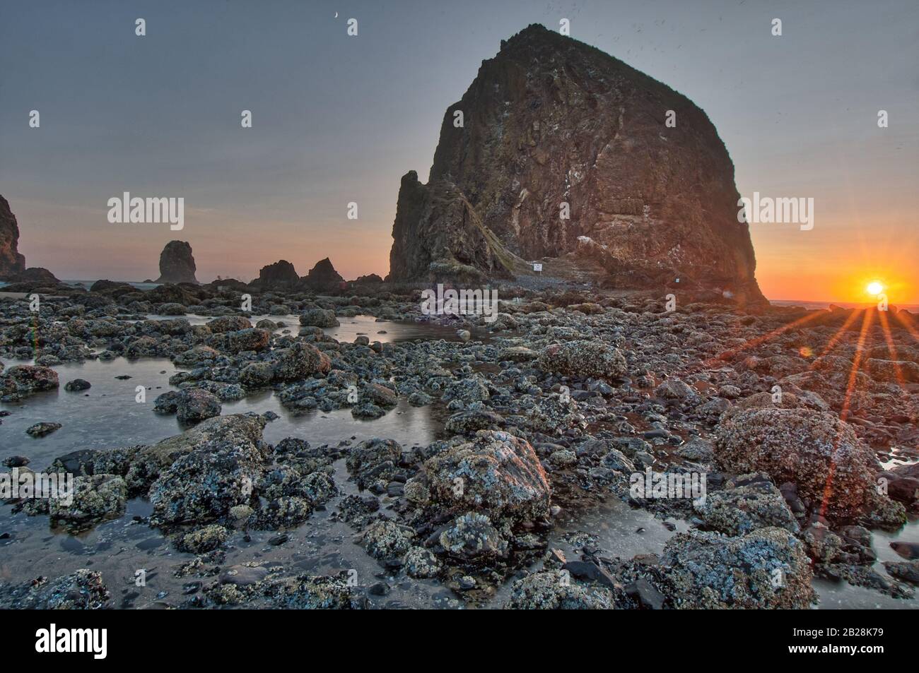 Le soleil se couche sur l'océan Pacifique près de Haystack Rock, près de Cannon Beach, sur la côte de l'Oregon, avec la marée bien éloignée et les rochers couverts par le barapogée expos Banque D'Images