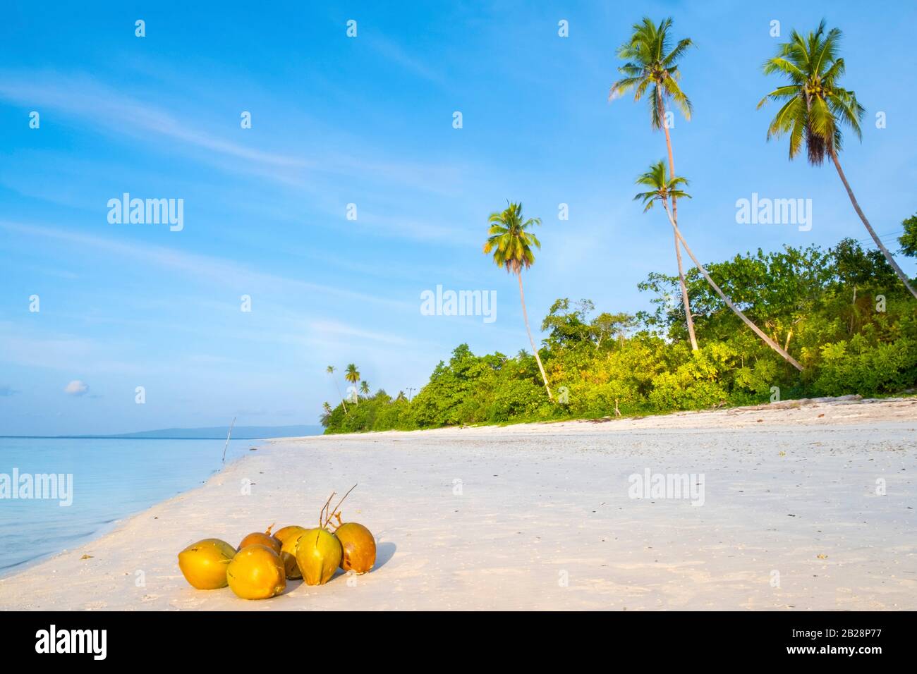 Asie, Indonésie, îles Spice, Seram, Pulau Manawoka. Une plage vierge de l'île à Maluku / Raja Ampat Banque D'Images