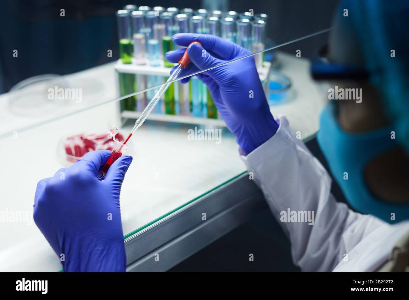 Gros plan sur l'échantillonnage du sang des femmes scientifiques dans les tubes à essai tout en travaillant sur la recherche en laboratoire, espace de copie Banque D'Images