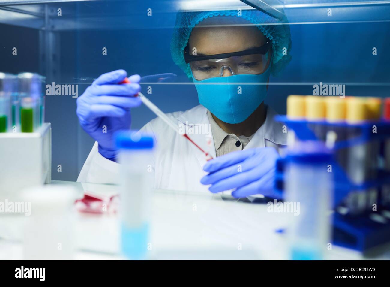 Portrait d'une femme scientifique portant un masque et un équipement de protection qui dépose des échantillons de sang dans des tubes à essai tout en travaillant sur la recherche en laboratoire, dans l'espace de copie Banque D'Images