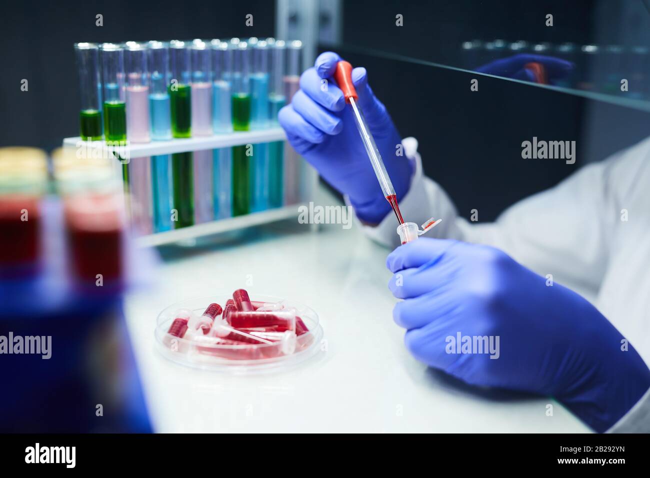 Gros plan sur les scientifiques non reconnaissables qui transpirent des échantillons de sang dans des tubes à essai tout en travaillant sur la recherche en laboratoire, dans l'espace de copie Banque D'Images