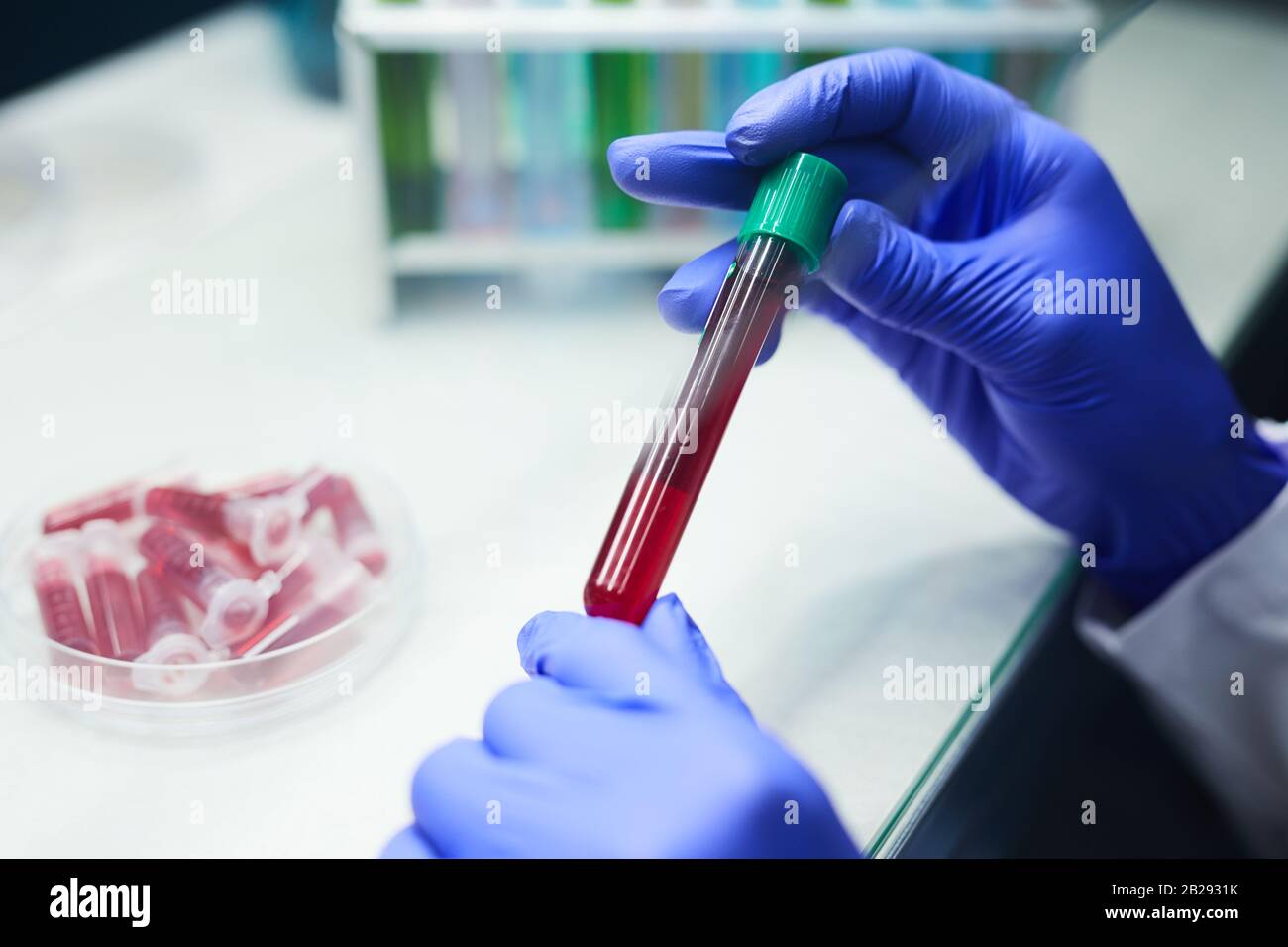 Gros plan sur un scientifique non reconnaissable qui tient un tube à essai avec un échantillon de sang tout en travaillant sur la recherche en laboratoire, espace de copie Banque D'Images