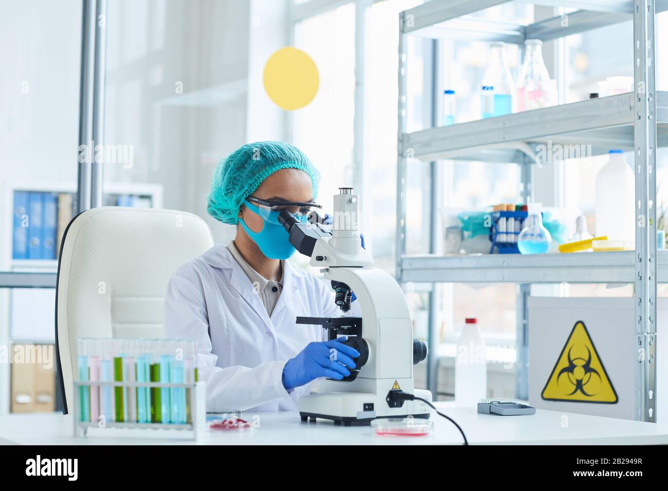 Portrait de la scientifique féminine regardant au microscope tout en travaillant sur la recherche sur les risques biologiques en laboratoire, espace de copie Banque D'Images