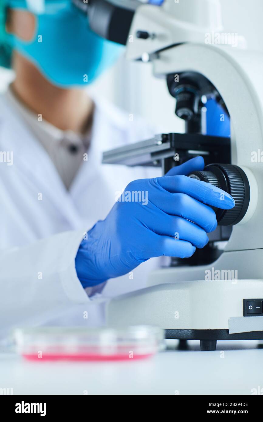 Gros plan sur les femmes scientifiques utilisant un microscope tout en travaillant sur la recherche en laboratoire médical Banque D'Images