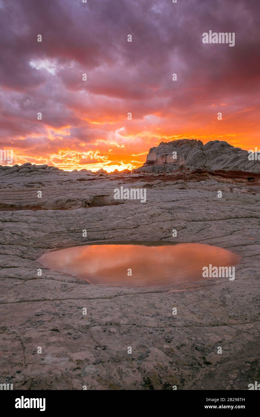 Coucher du soleil, des réflexions, des formations de grès blanc, poche, Vermillion Cliffs National Monument, Arizona, Plateau Paria Banque D'Images