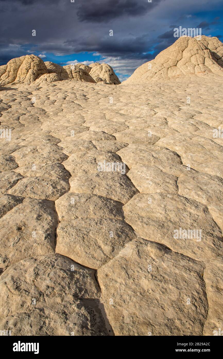 Falaises de grès blanc, poche, Vermillion Cliffs National Monument, Arizona, Plateau Paria Banque D'Images