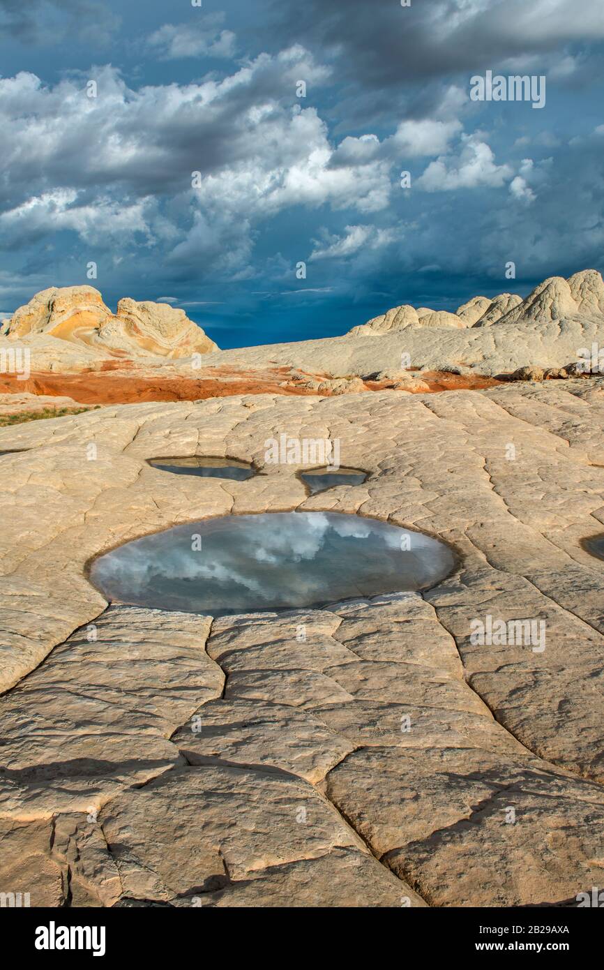 Réflexions, falaises de grès blanc, poche, Vermillion Cliffs National Monument, Arizona, Plateau Paria Banque D'Images