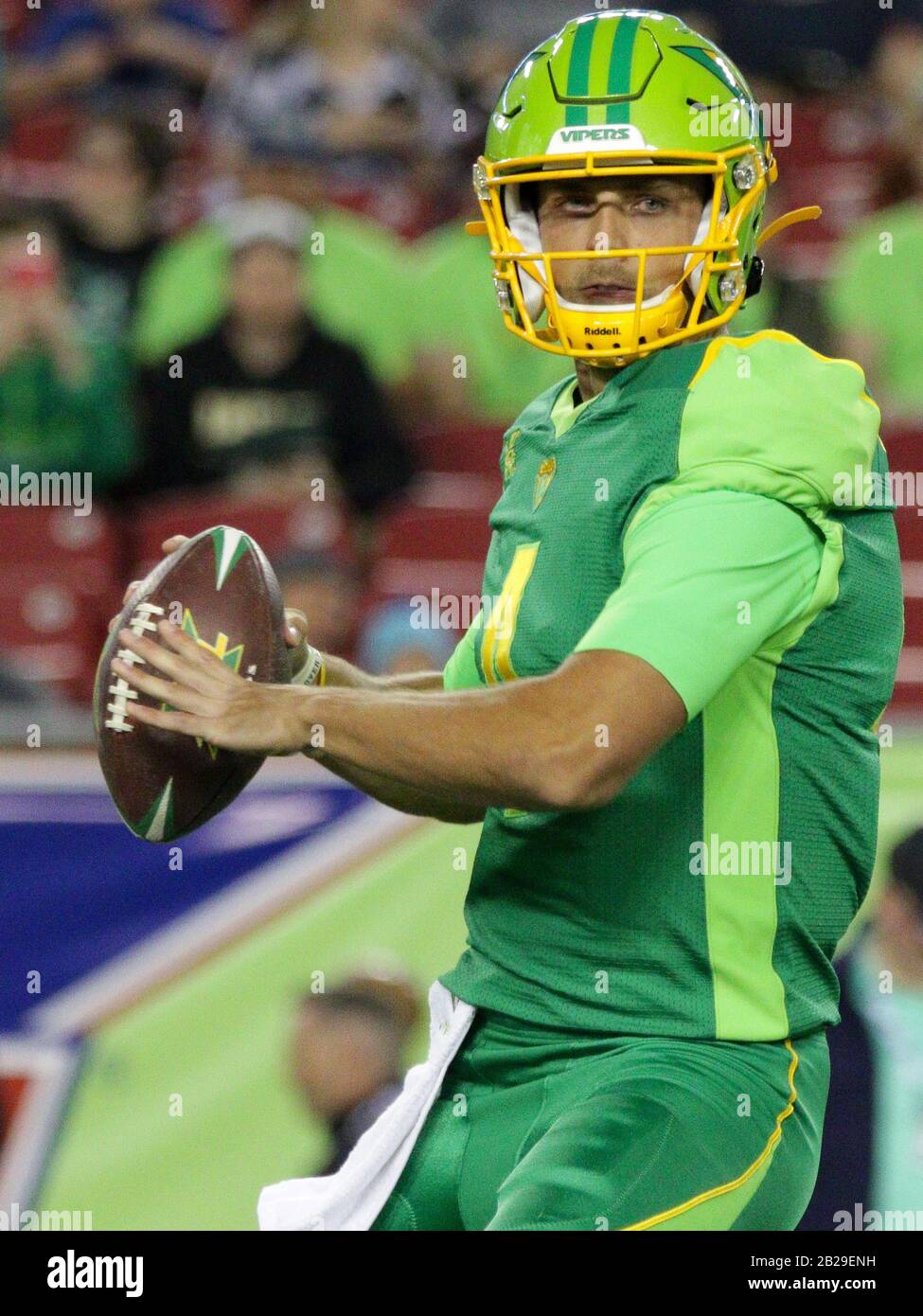 Tampa, Floride, États-Unis. 1 mars 2020. Tampa Bay Vipers quarterback Taylor Cornelius (4) regarde passer le ballon pendant le match de football XFL entre les DC Defenders et les Tampa Bay Vipers tenu au stade Raymond James à Tampa, en Floride. Andrew J. Kramer/CSM/Alay Live News Banque D'Images