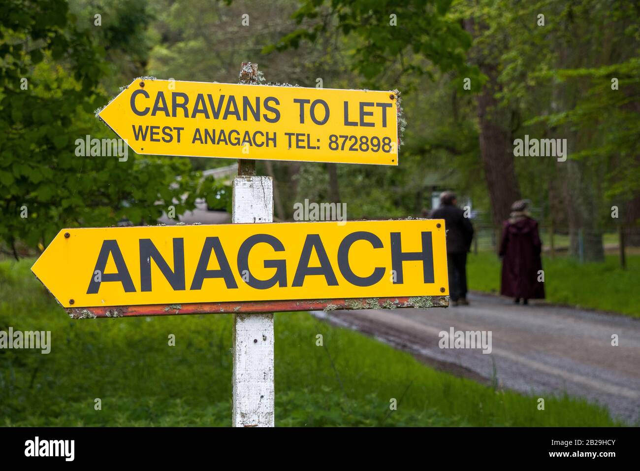 En marchant à travers Anagach Woods dans les Highlands écossais de Grantown sur Spey, Highlands, Ecosse Banque D'Images