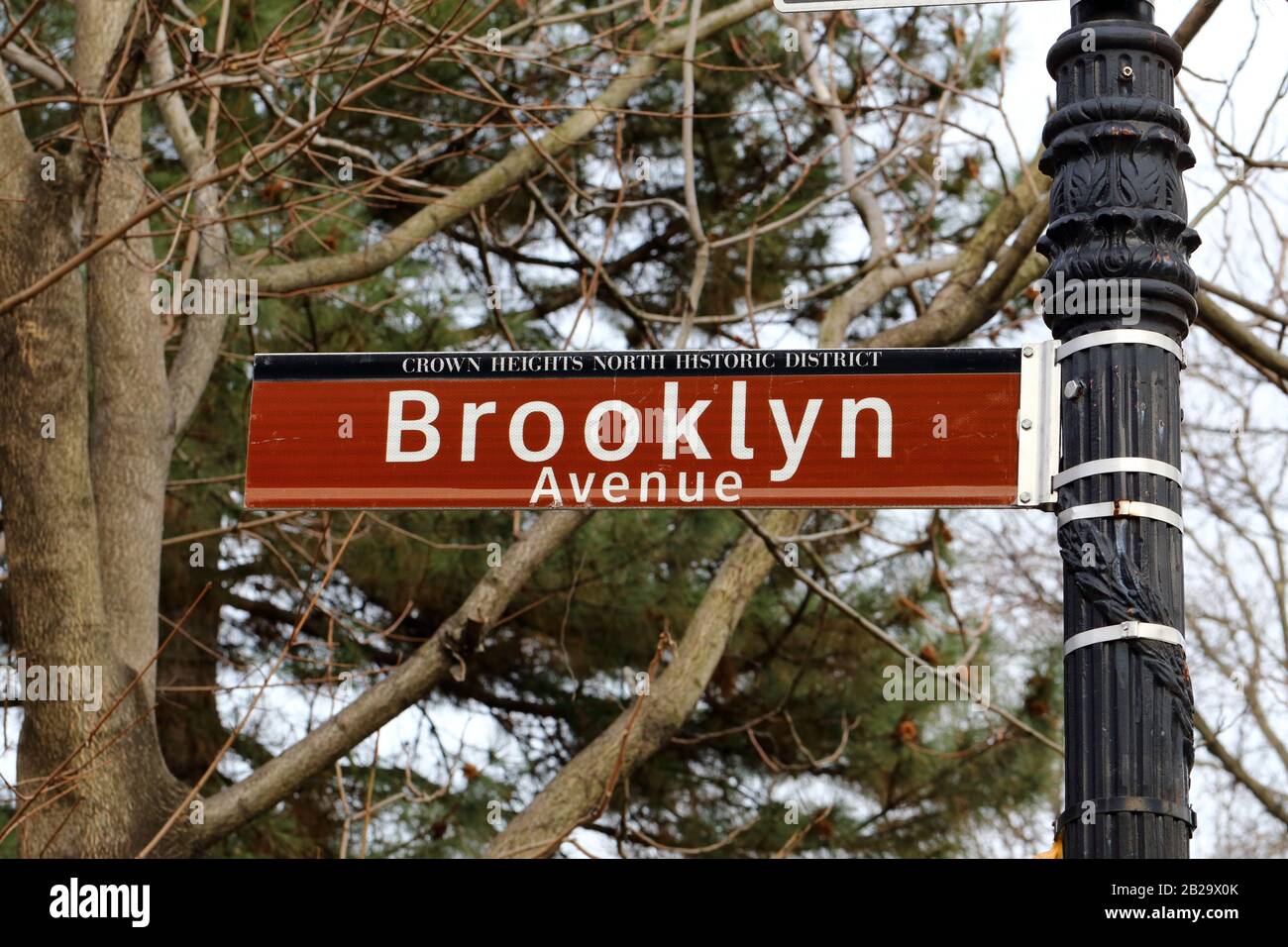Un panneau de rue de l'avenue Brooklyn se trouve dans le quartier historique de Crown Heights North à Brooklyn, NY. Banque D'Images