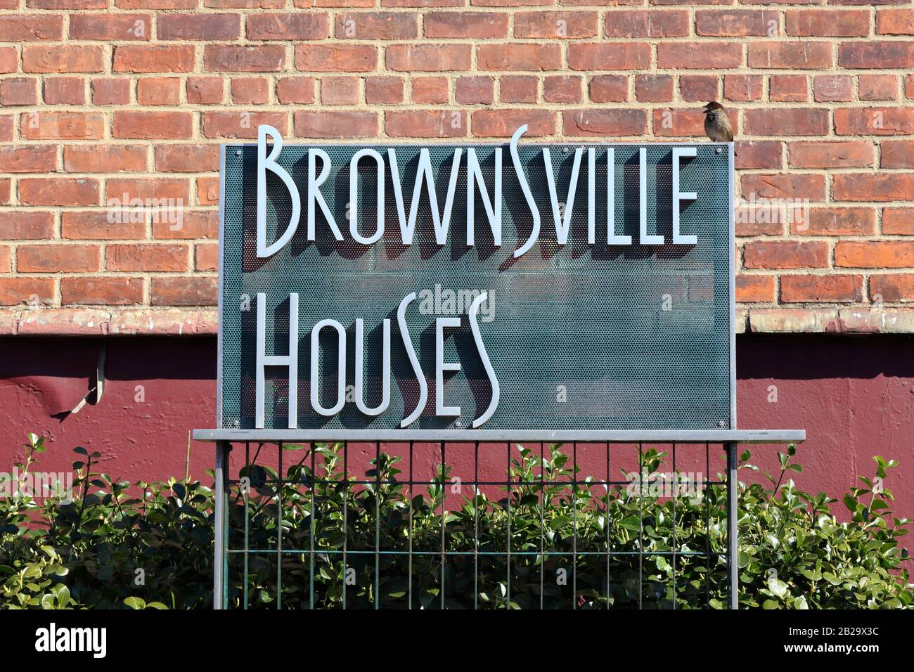 Signalisation pour la New York City Housing Authority Brownsville Houses dans le quartier de Brownsville à Brooklyn, New York, NY Banque D'Images