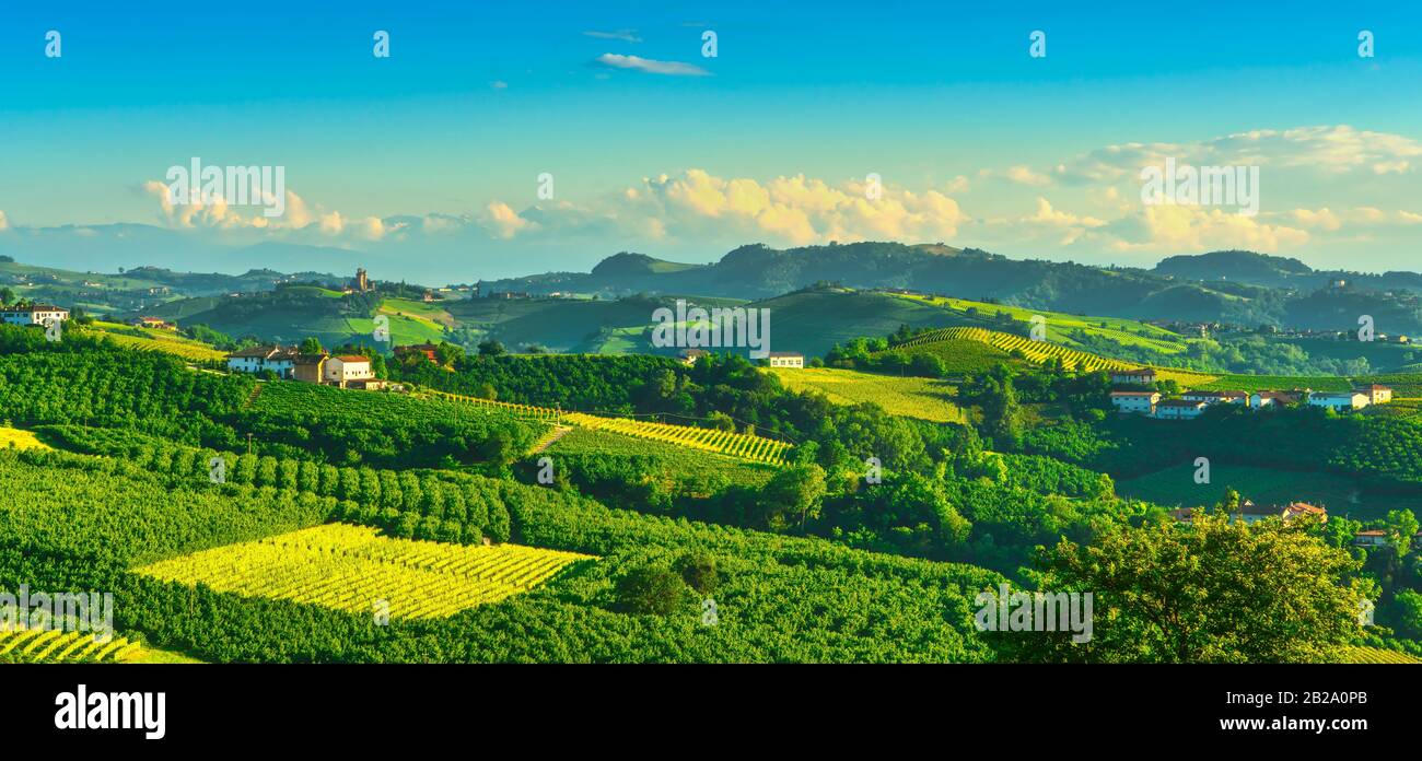 Vignes des Langhe et culture des arbres à noisettes, Serralunga d Alba, site De L'Unesco, Piémont, Italie du Nord Europe. Banque D'Images