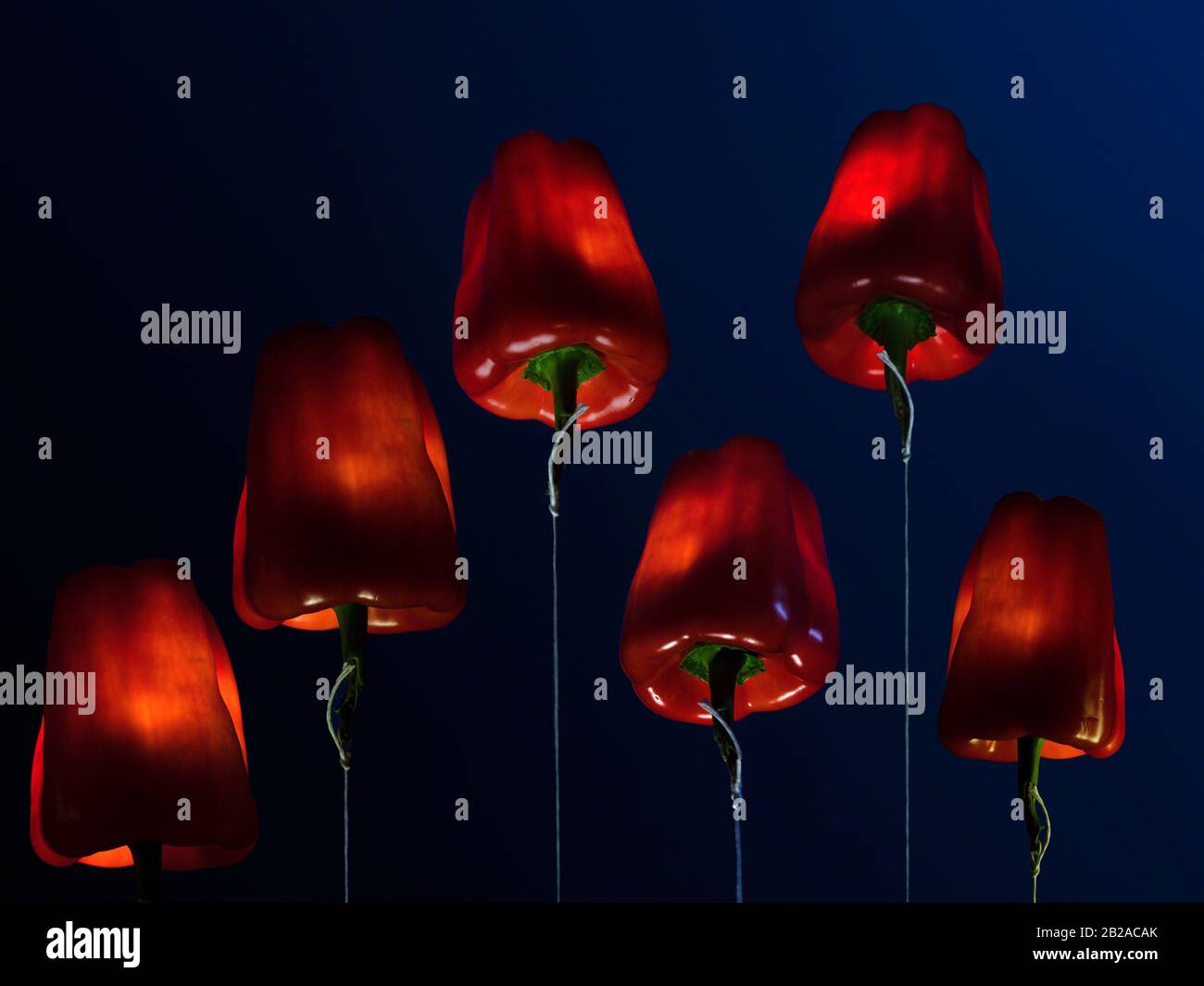 Lampes conceptuelles avec abat-jour rouges Banque D'Images