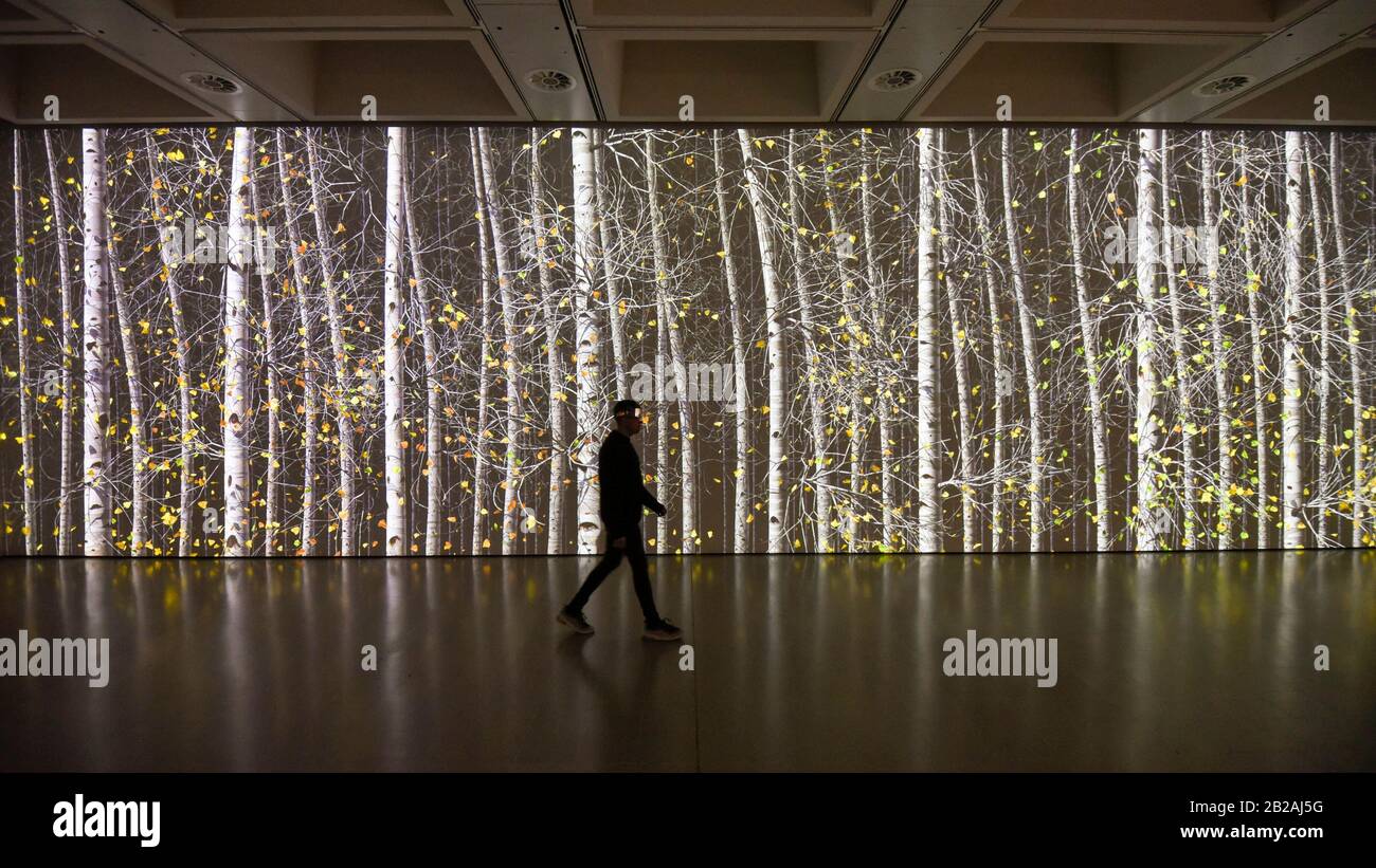 Londres, Royaume-Uni. 2 Mars 2020. Un membre du personnel voit 'Blind Eye 1', 2007, par Jennifer Steinkamp. Aperçu de l'exposition « Parmi Les Arbres » à la Hayward Gallery sur la Southbank. Les œuvres d'art de 38 artistes internationaux explorent la relation de l'homme avec les arbres et les forêts à un moment où la destruction des forêts s'accélère dans le spectacle qui se déroule du 4 mars au 17 mai 2020. Crédit: Stephen Chung / Alay Live News Banque D'Images