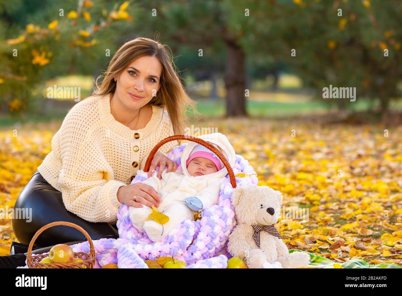 Maman Se Tient Sur Un Pique Nique Avec Le Bebe Dans Le Panier Photo Stock Alamy