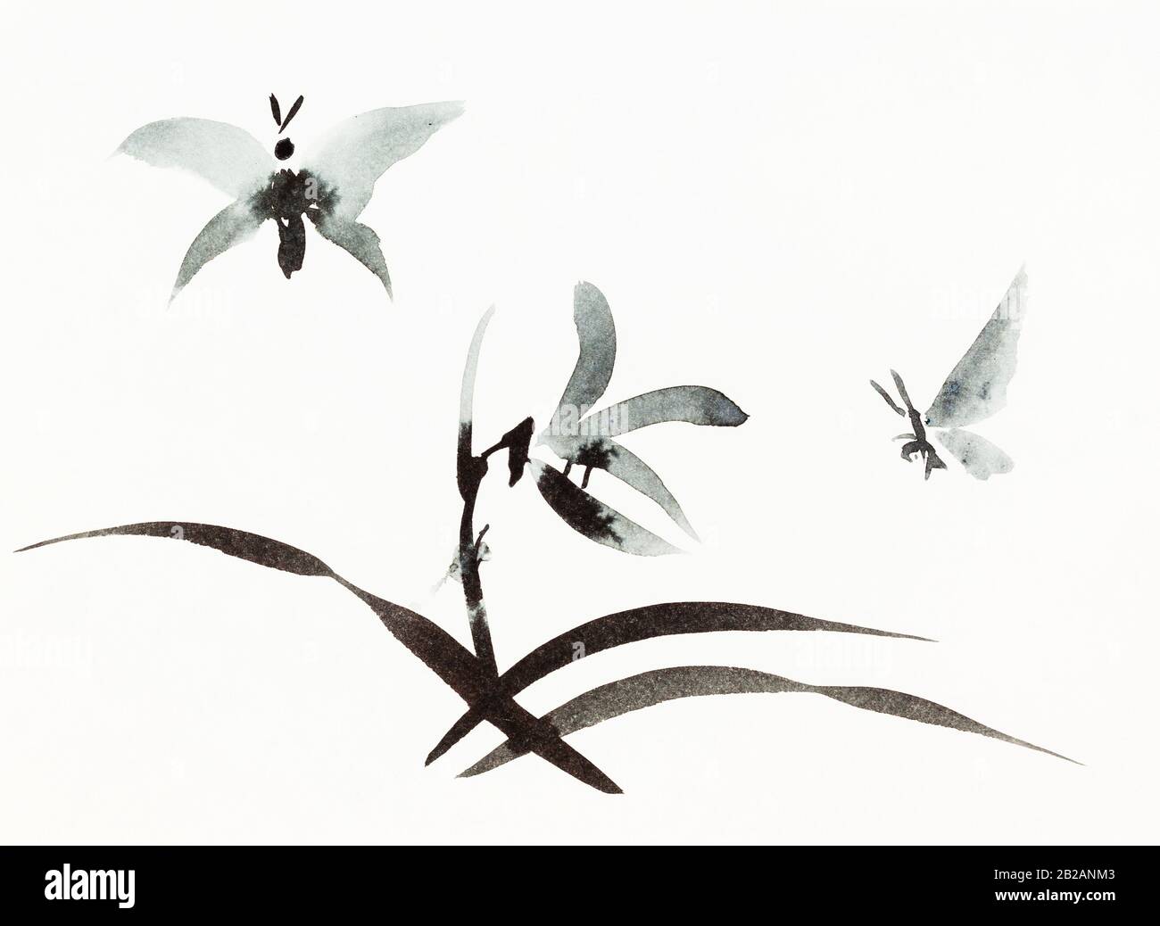 les papillons survolent les fleurs dessinées à la main par l'aquarelle noire sur le papier blanc dans le style sumi-e (suibokuga) Banque D'Images