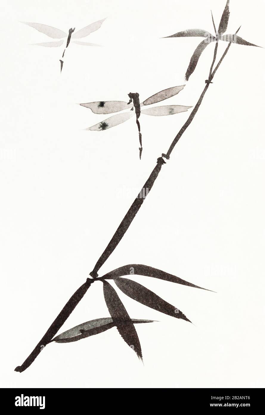 libellules et branche de roseau dessinée à la main par l'aquarelle noire sur du papier crémeux-blanc dans le style sumi-e (suibokuga) Banque D'Images