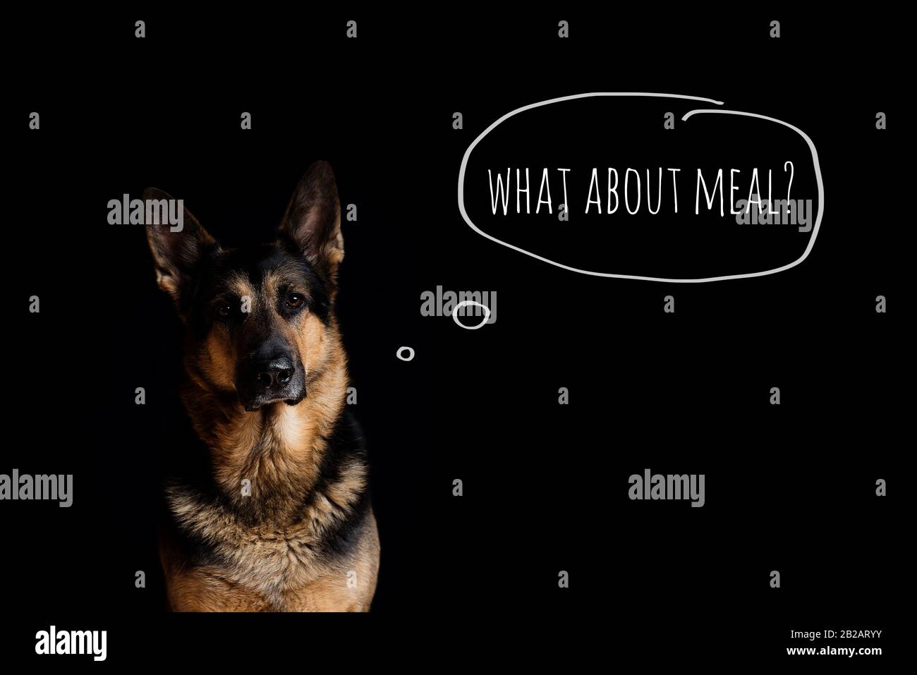 Portrait d'un chien race berger allemand sur fond noir. Bulle de discours, bulle de pensée avec le texte que sur le repas. Le chien pense à la nourriture. Banque D'Images