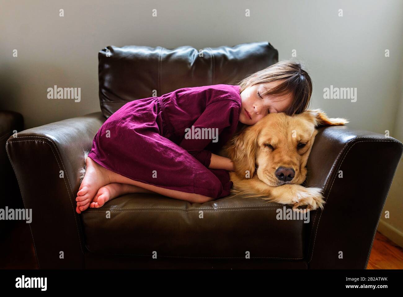 Une fille s'est rebouclés dans un fauteuil avec un chien doré Banque D'Images