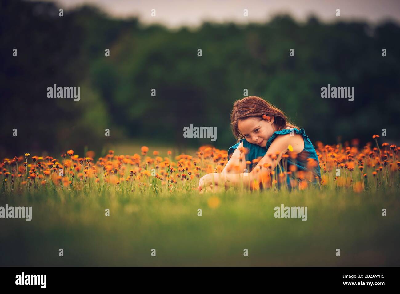 Heureuse fille assise dans un pré avec des fleurs sauvages, États-Unis Banque D'Images