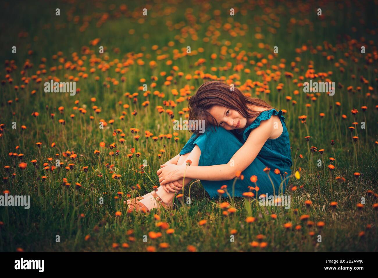 Heureuse fille assise dans un pré avec des fleurs sauvages, États-Unis Banque D'Images