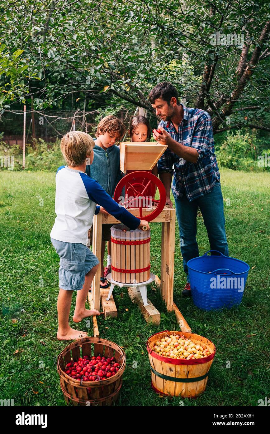 Père et trois enfants dans le jardin pressant des pommes pour faire du cidre, États-Unis Banque D'Images