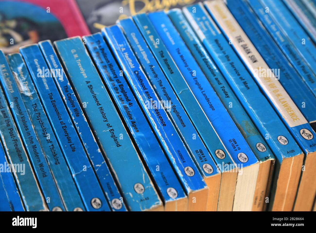 Blue Penguin Pelican papiers non-Fiction Banque D'Images