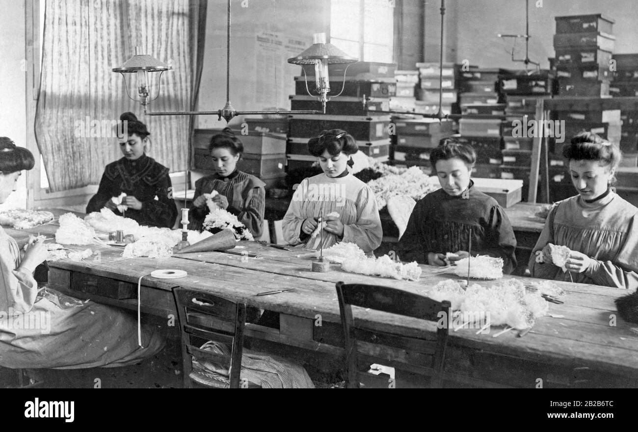 Les femmes façonnent les plumes d'autruche dans une usine. Banque D'Images
