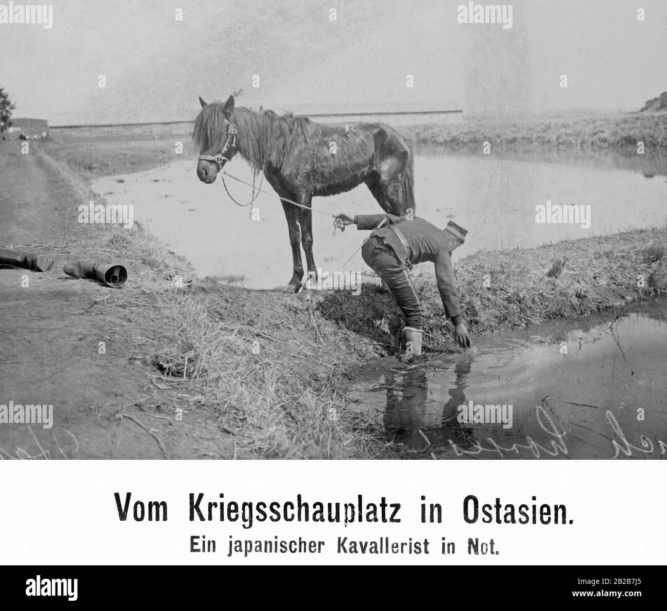 Un cavalryman japonais et son cheval dans un étang. Banque D'Images