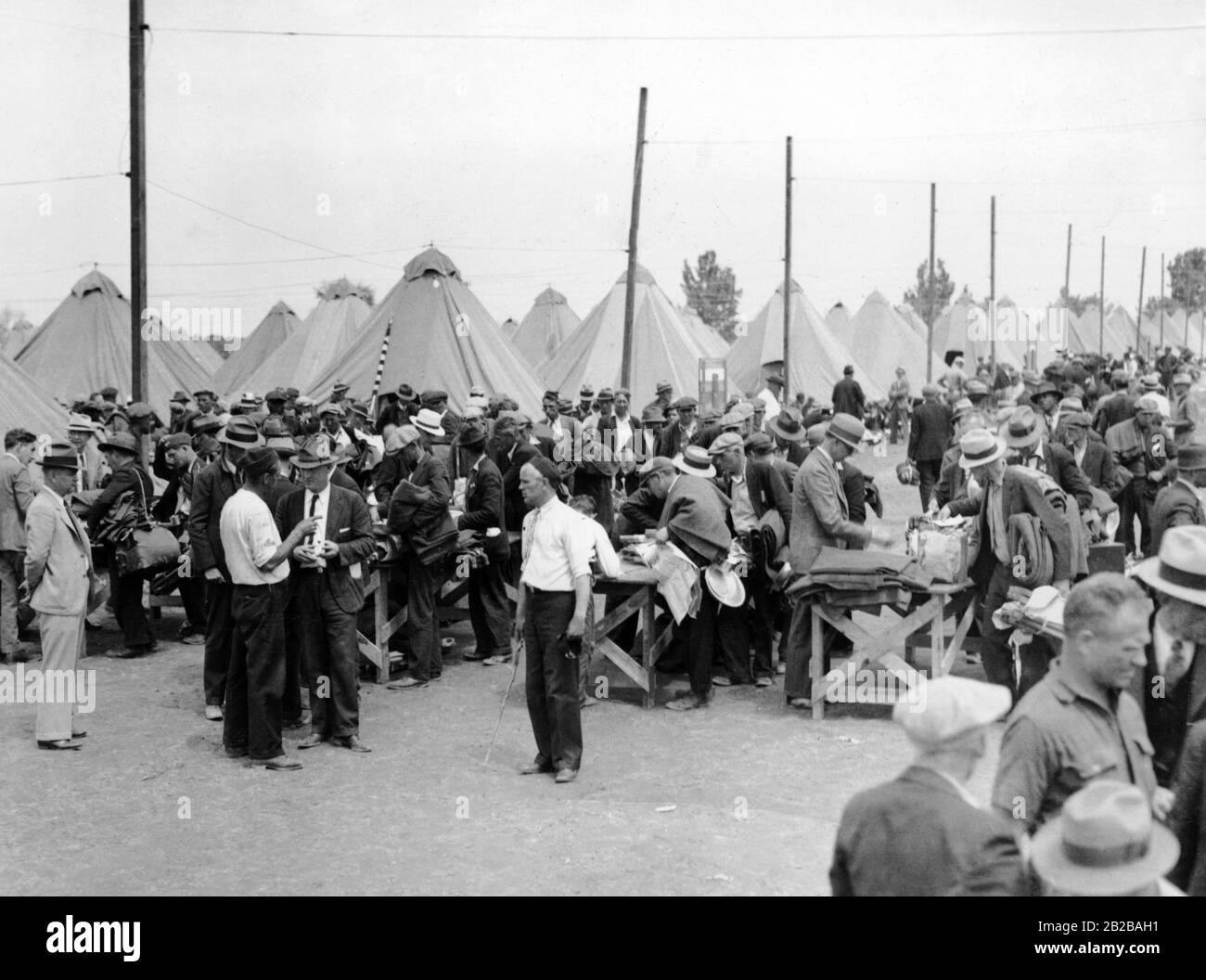 Programme de création d'emplois : soldats pour le reboisement dans un camp. Banque D'Images