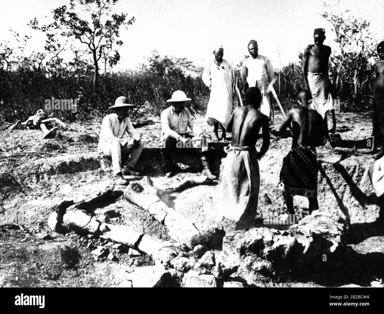 La photo montre un groupe de chercheurs qui creusent des restes osseux bien conservés d'un dinosaure géant pendant l'une des premières expéditions préhistoriques vers l'Afrique de l'est. Banque D'Images