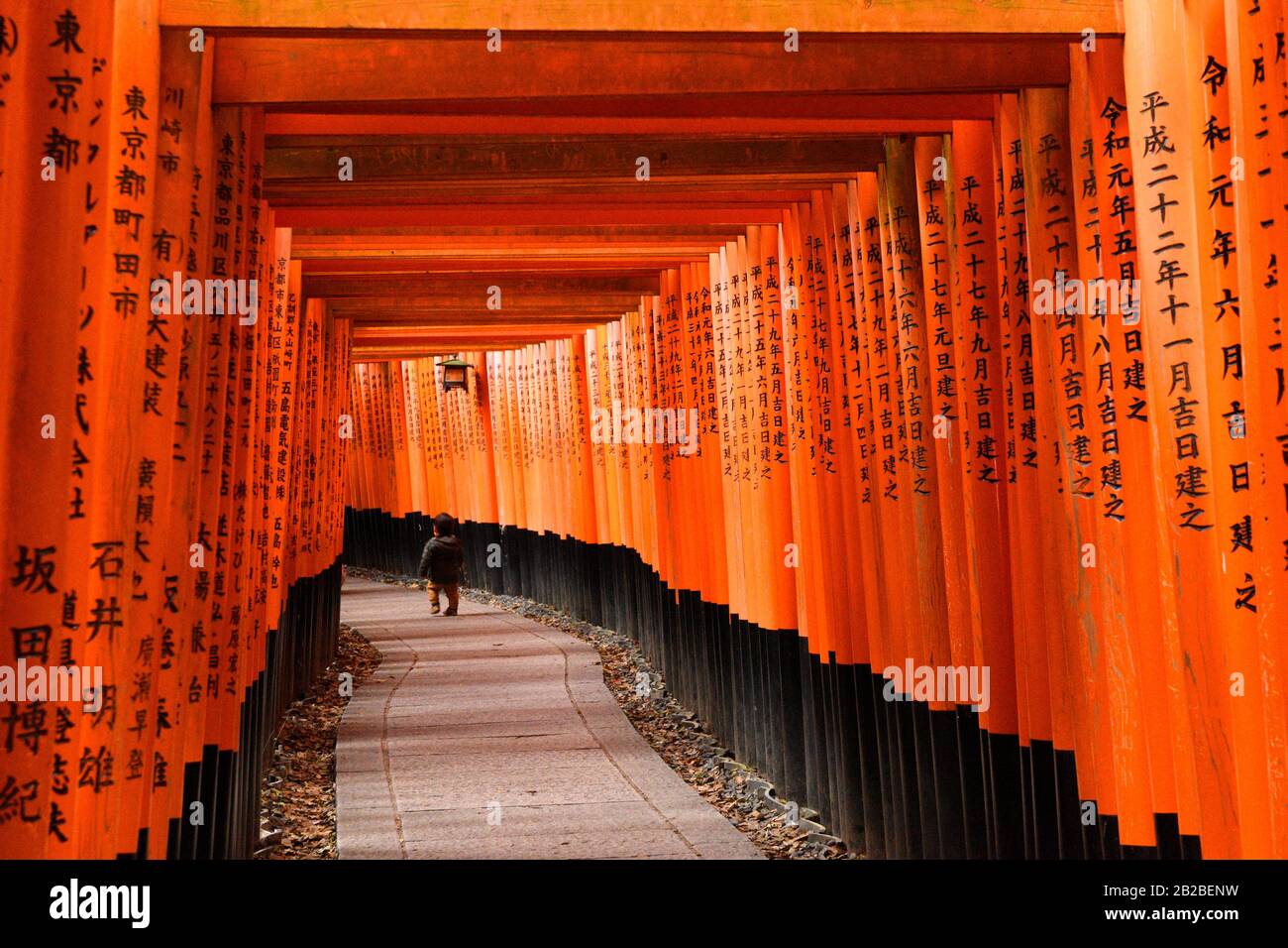 Portes Du Sanctuaire De Fushimi Inari À Kyoto, Honshu, Japon, Asie. Banque D'Images