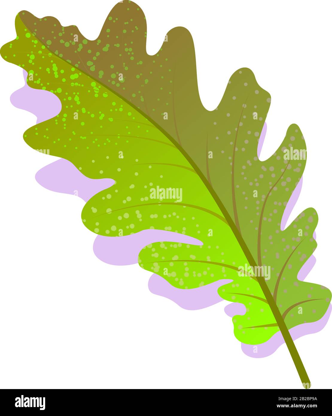 Feuille de chêne vert texturée avec ombre, isolée sur fond blanc. Icône réaliste de nature unique, élément plat de symbole écologique. Illustration vectorielle de stock. Logo design. Illustration de Vecteur