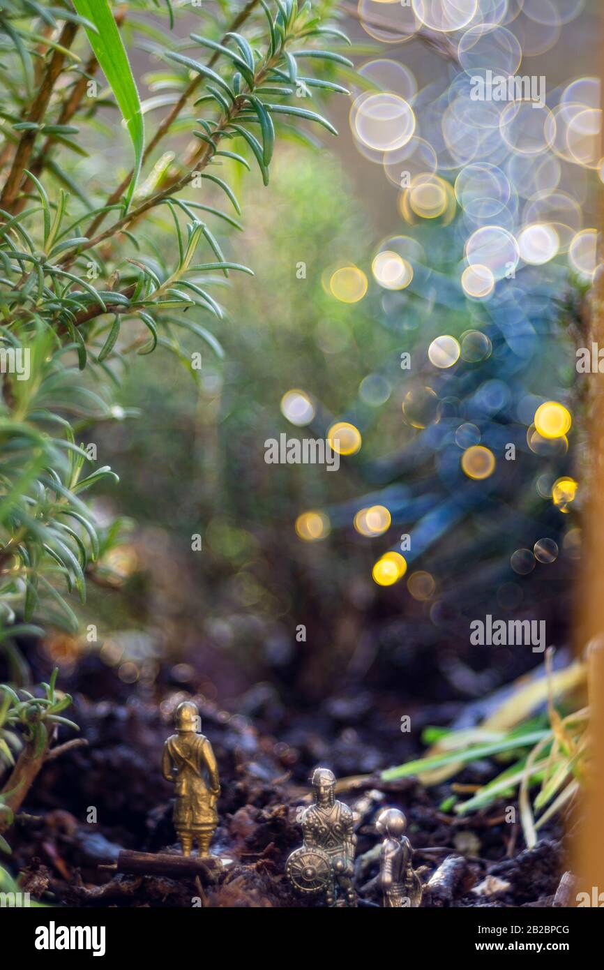 Les modèles Die Cast explorent une forêt avec un rêve comme le fond Banque D'Images