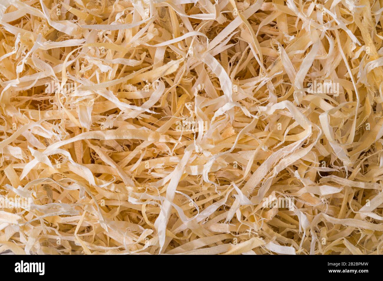 Copeaux de bois abstraits fond. Sciure de bois en détail texture. Longues bandes minces closeup de déchets de travail du bois enchevêtrés sur le tas. Menuiserie, menuiserie. Banque D'Images