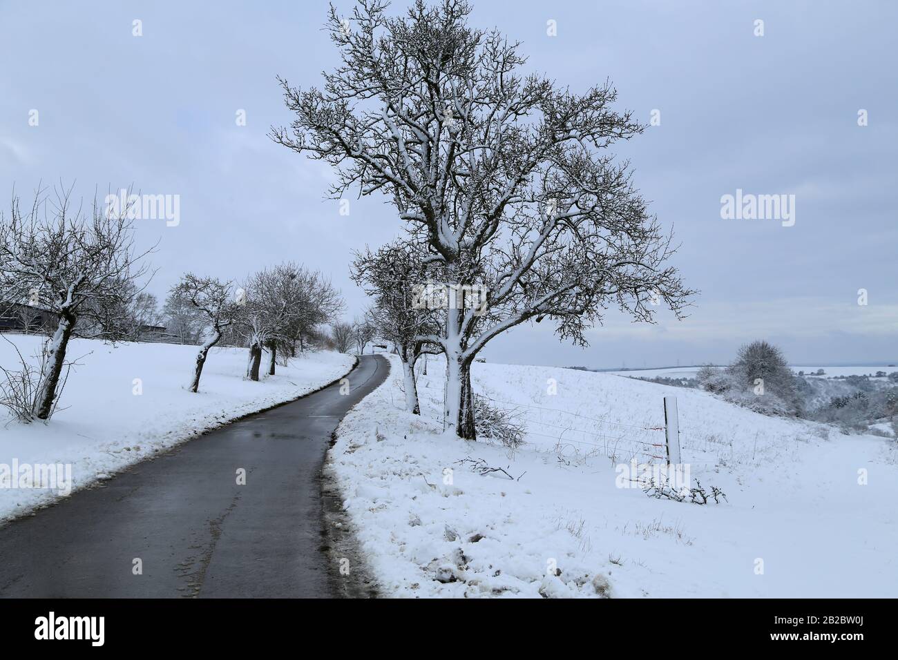 Paysage d'hiver avec route et arbres sur le côté de la route Banque D'Images