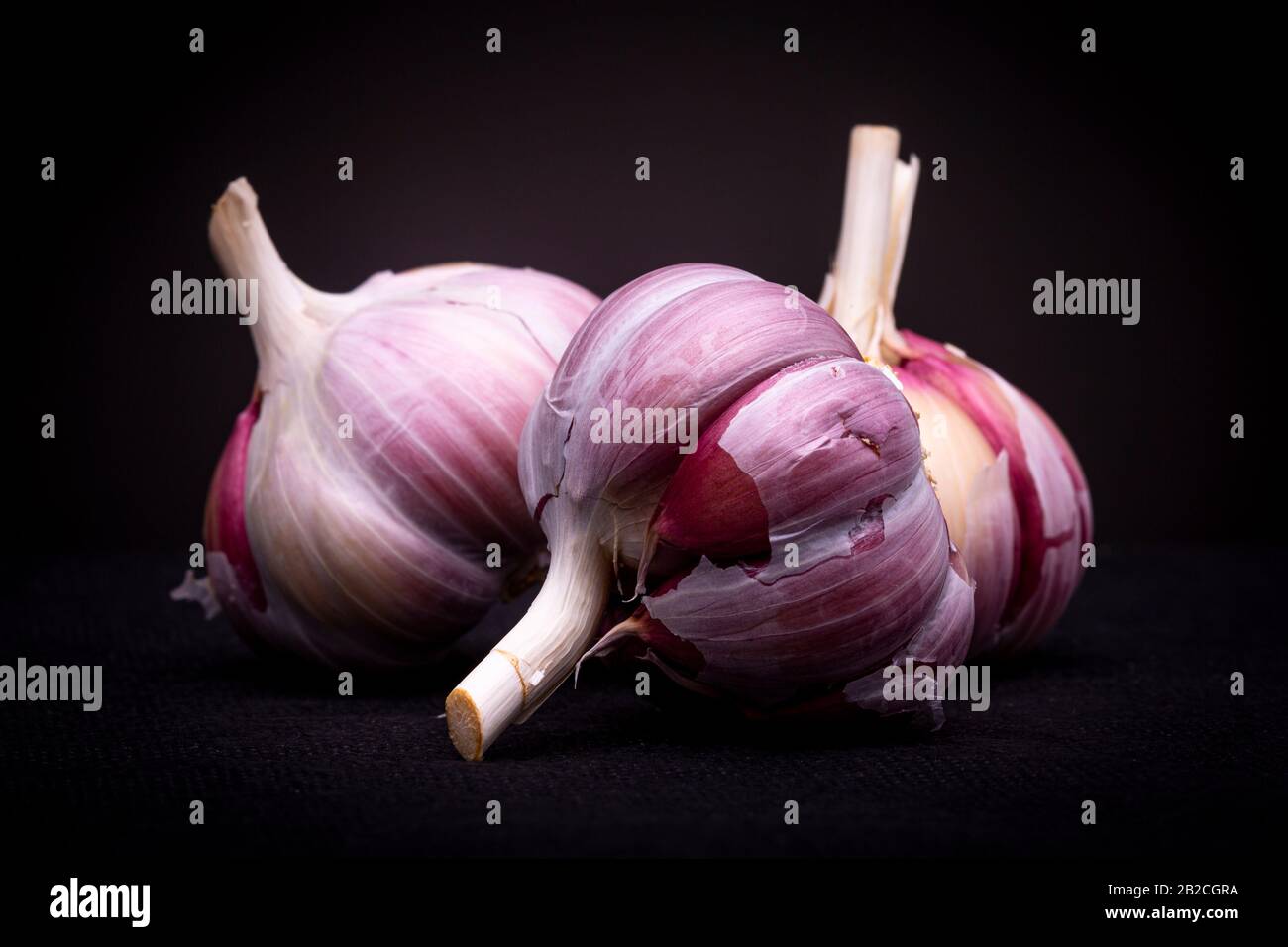 Gros plan de lots d'ail rouge ou violet en studio avec un fond clair et sombre spectaculaire Banque D'Images