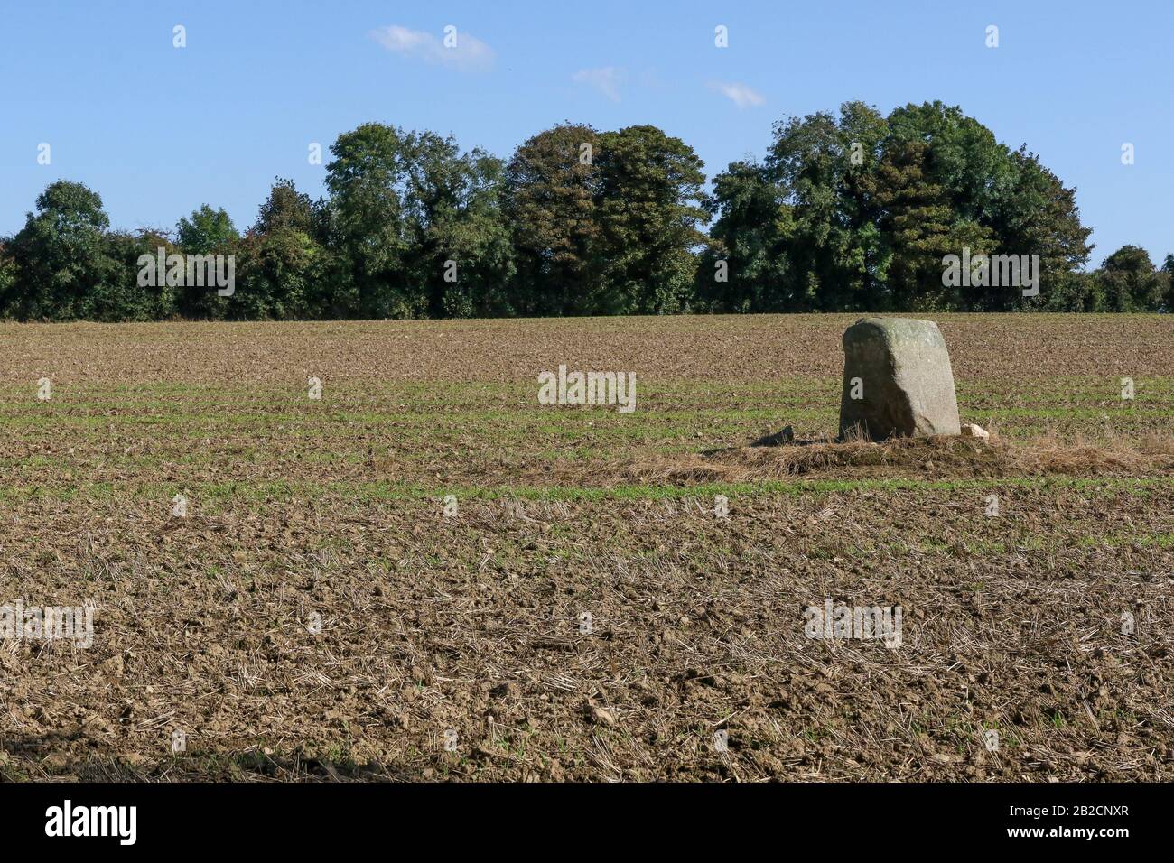 Une pierre debout ancienne unique dans un champ labouré en Irlande, un jour d'automne ensoleillé en septembre à côté d'Oakfield Park, comté de Donegal, Irlande. Banque D'Images