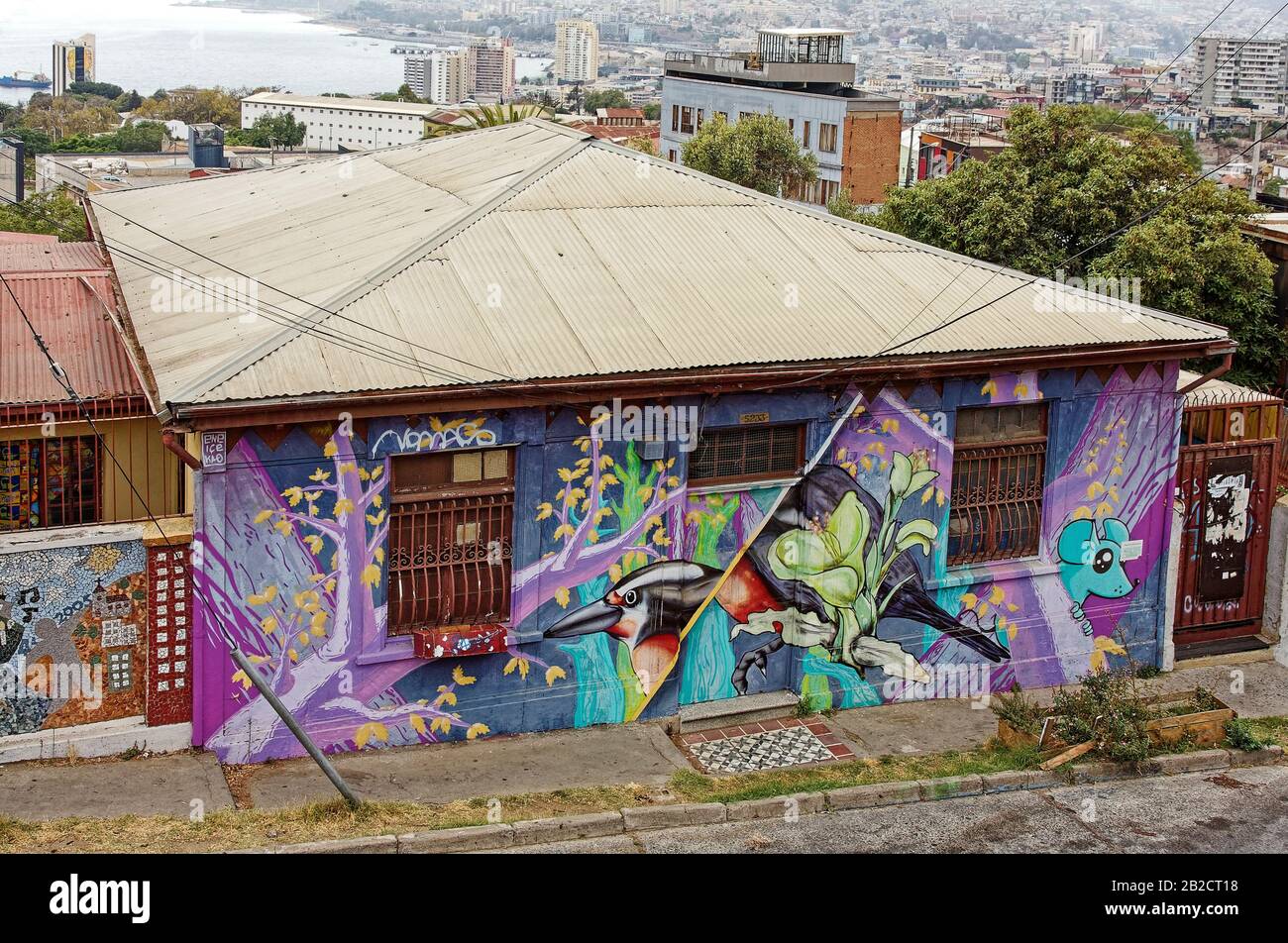 Peintures murales sur le bâtiment; art public; coloré, UNESCO, ville surpeuplée au-delà, Océan Pacifique, Valparaiso; Chili; Amérique du Sud; été Banque D'Images