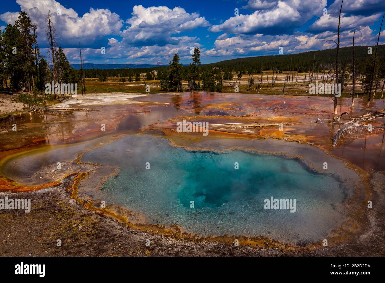 Firehole Spring Le Long De Firehole Lake Drive, Dans Le Parc National De Yellowstone Banque D'Images