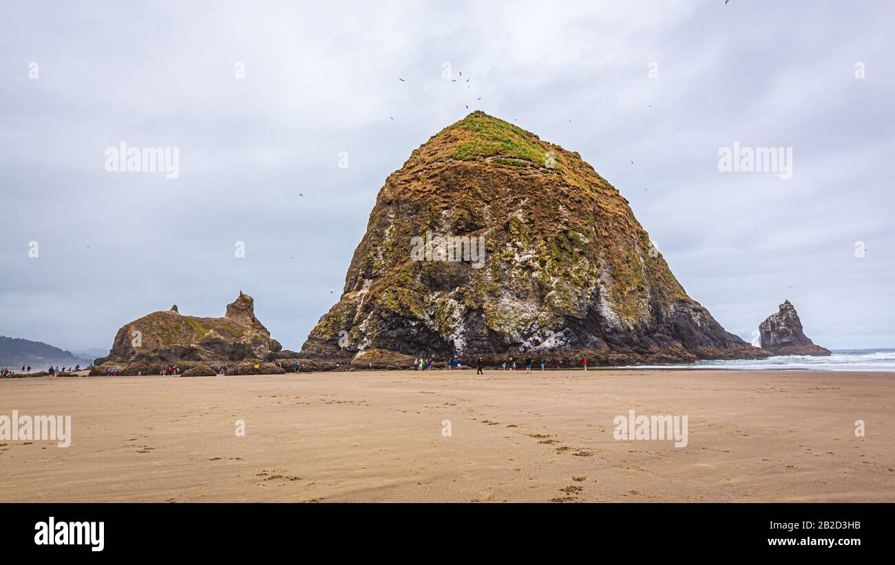 Haverstack Rock à marée basse, Cannon Beach, Oregon Banque D'Images