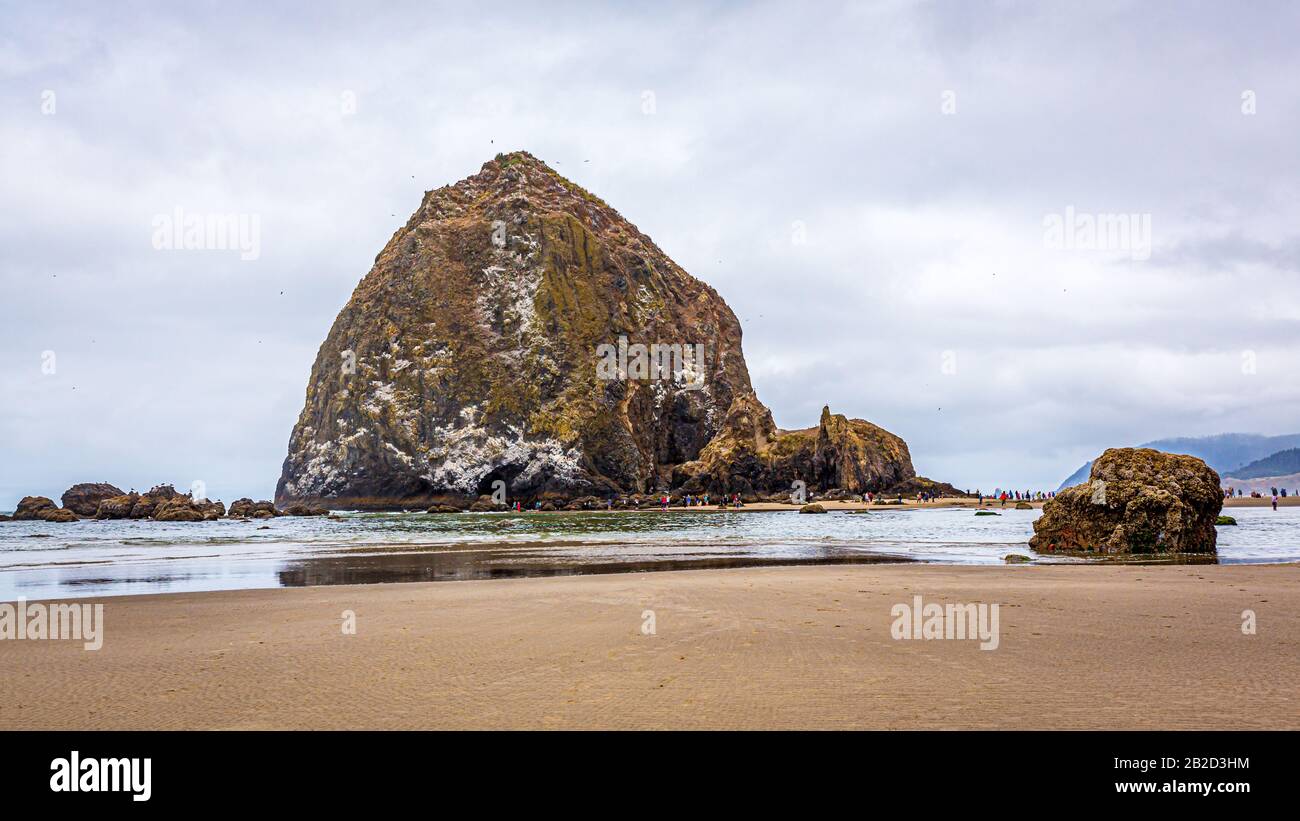 Haverstack Rock à marée basse, Cannon Beach, Oregon Banque D'Images