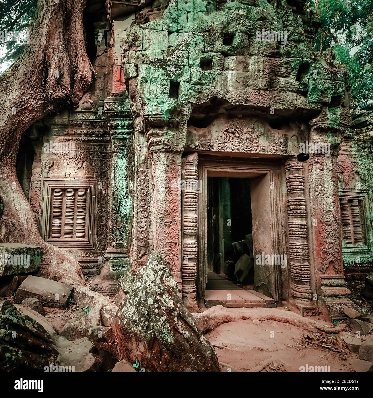 Ancienne architecture khmère. Temple TA Prohm avec un gigantesque arbre banyan au complexe Angkor Wat, Siem Reap, Cambodge. Panorama de deux images Banque D'Images