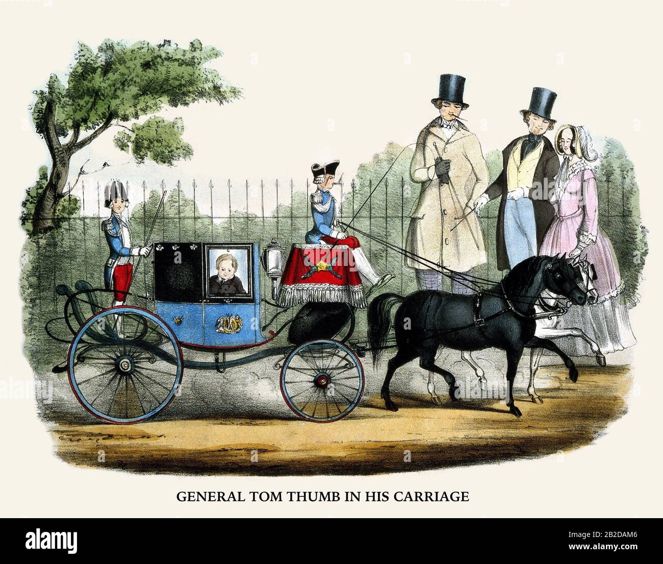 Le général Tom Thumb, dans son chariot Banque D'Images