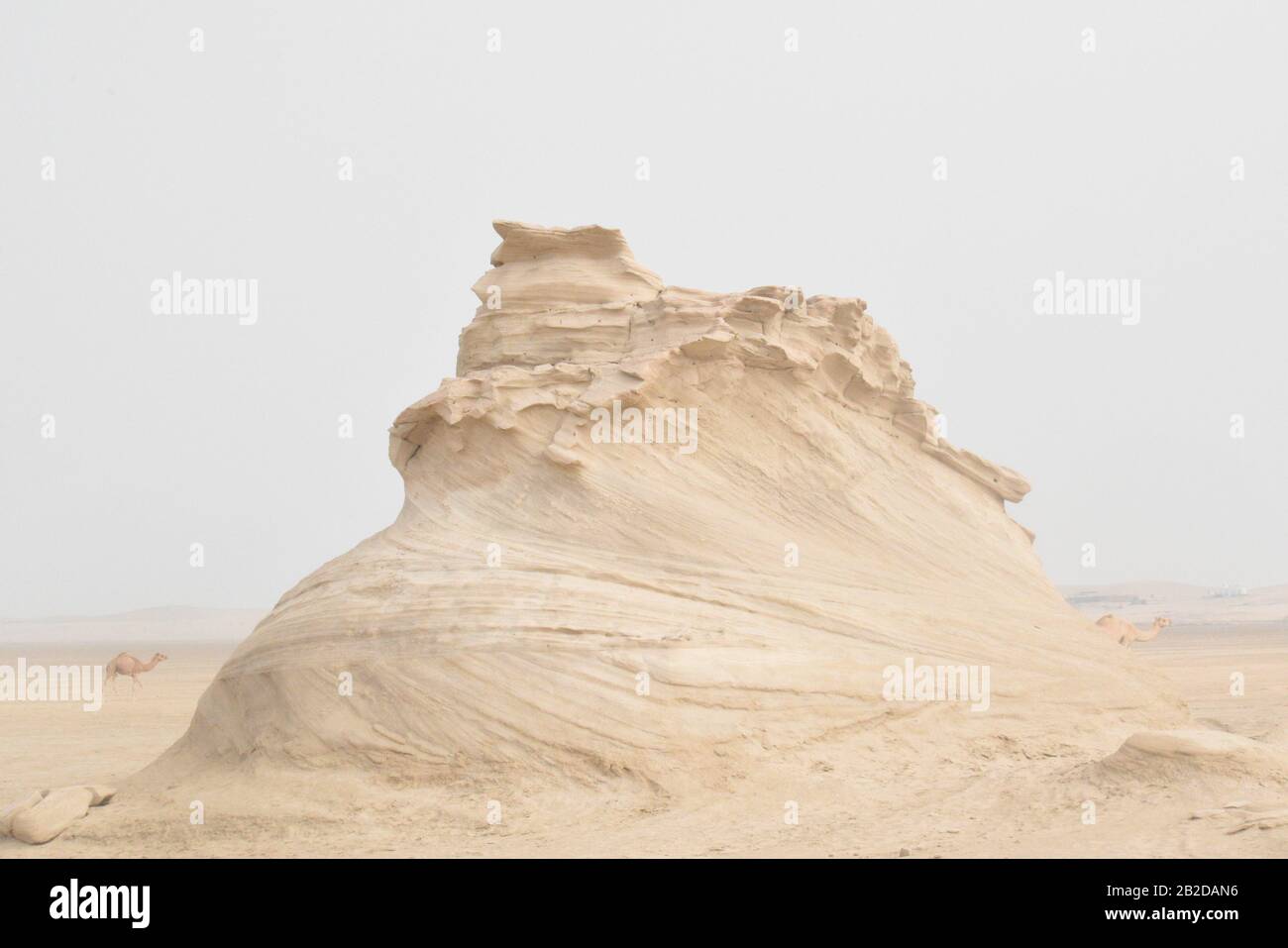 Dunes fossiles naturelles à Abu Dhabi.Journée de la photographie. Banque D'Images